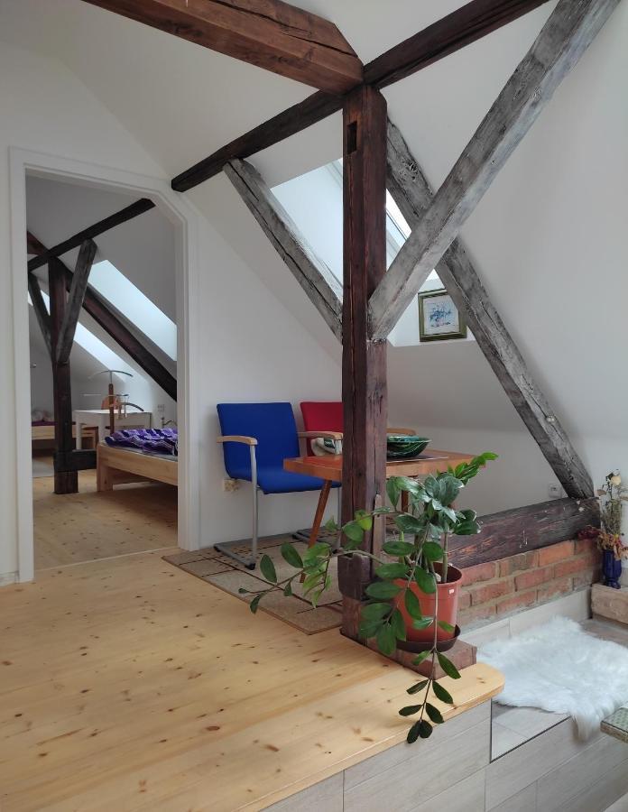 Za Vodou Hostal Moravská Nová Ves Exterior foto