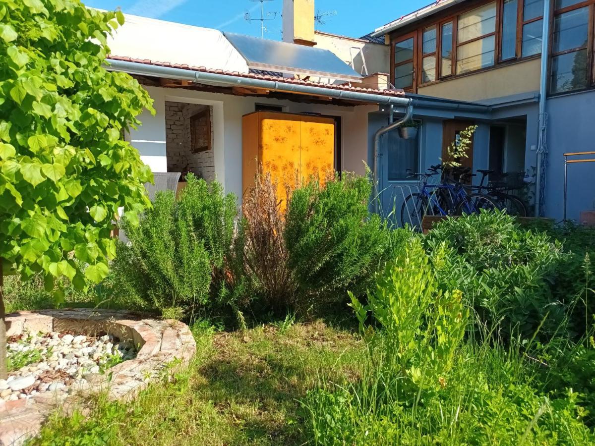 Za Vodou Hostal Moravská Nová Ves Exterior foto