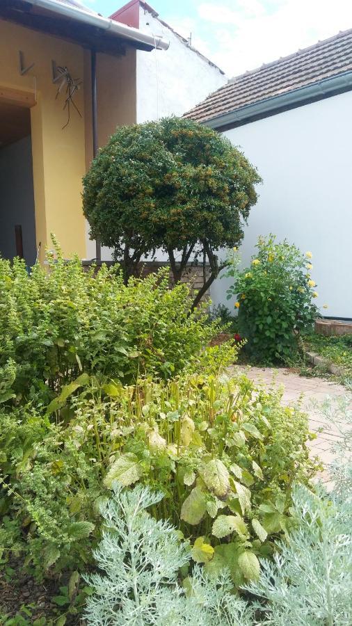 Za Vodou Hostal Moravská Nová Ves Exterior foto